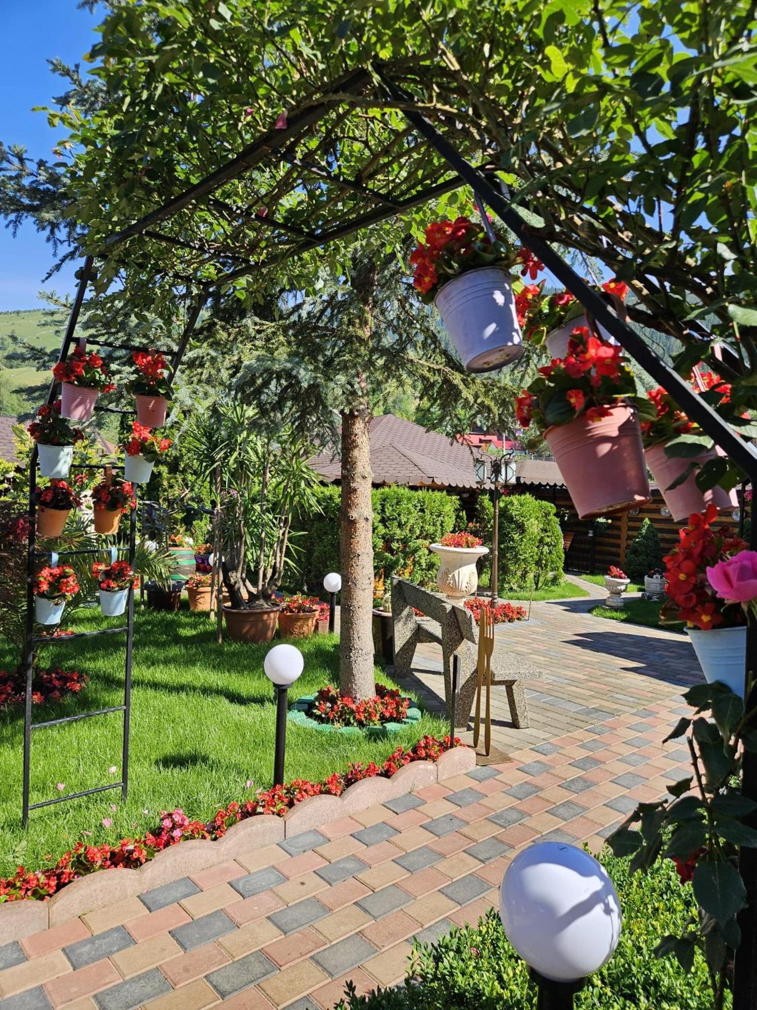 Pensiunea Orizont Farcasa Exterior foto